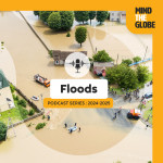 When the Water Gets Wild: A Flood of Knowledge with Niko Verhoest